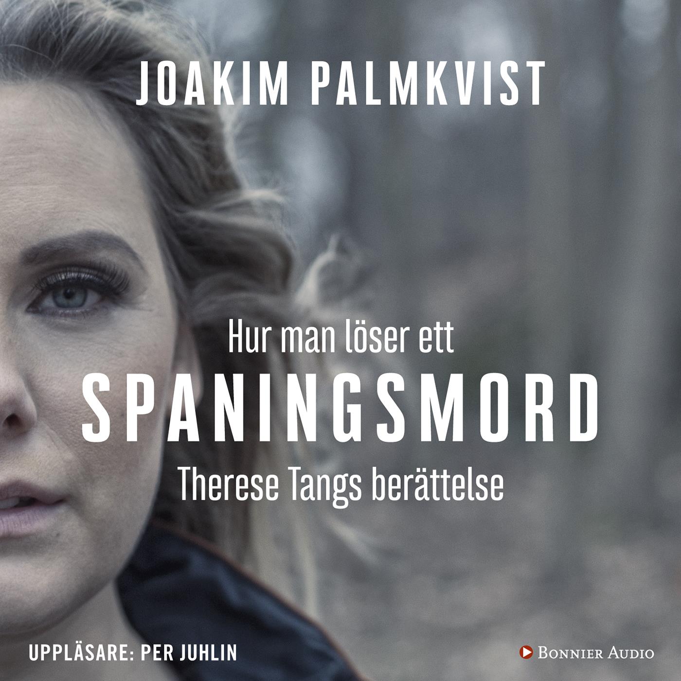 Hur man löser ett spaningsmord : Therese Tangs berättelse – Ljudbok