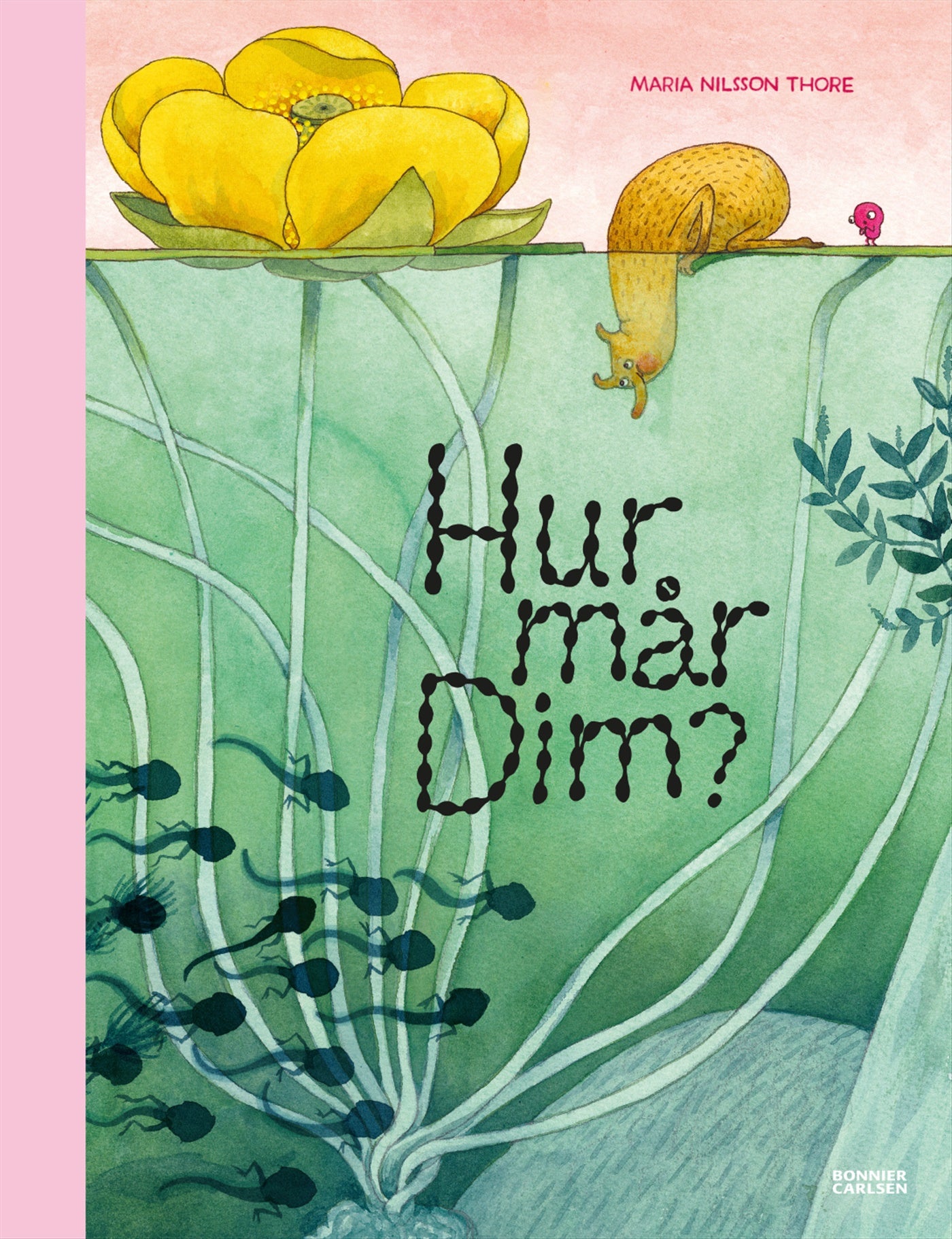 Hur mår Dim? – E-bok