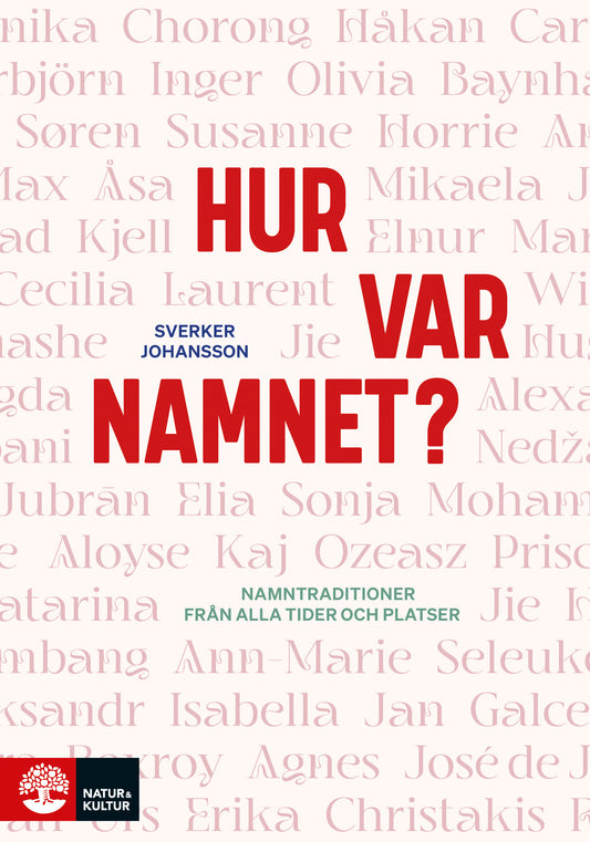 Hur var namnet? : namntraditioner från alla tider och platser – E-bok