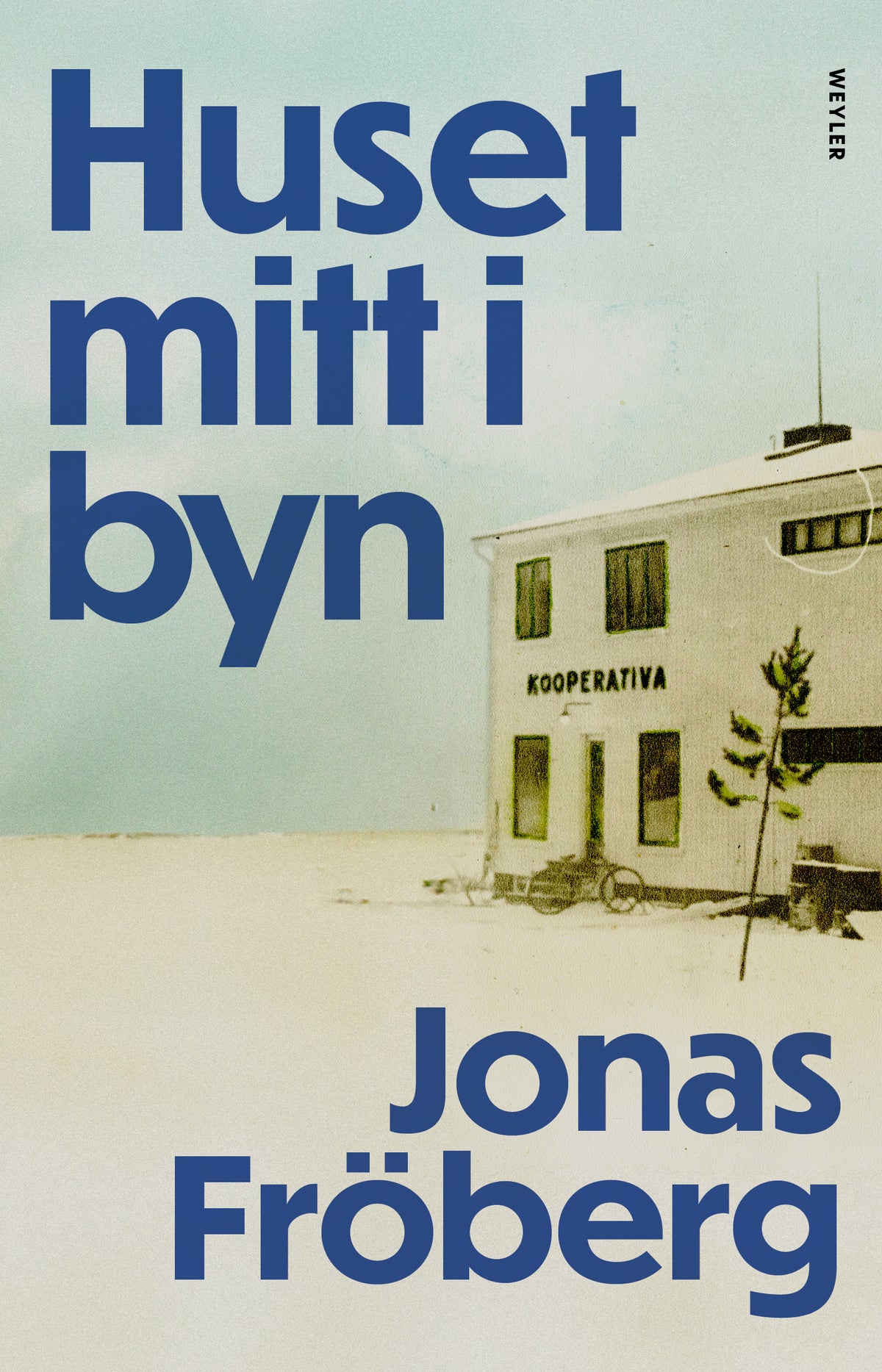 Huset mitt i byn – E-bok