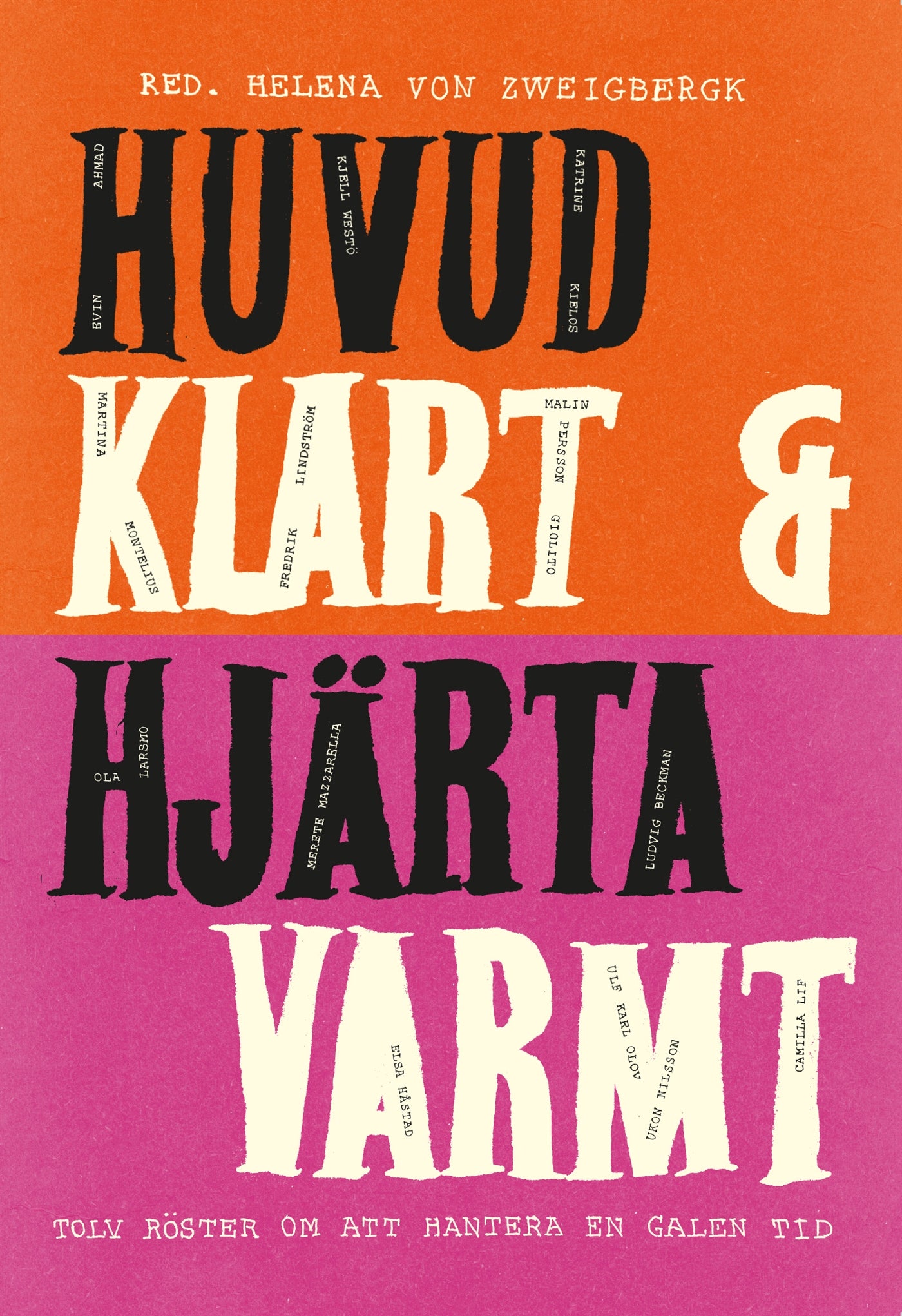 Huvud klart och hjärta varmt : tolv röster om att hantera en galen tid – E-bok