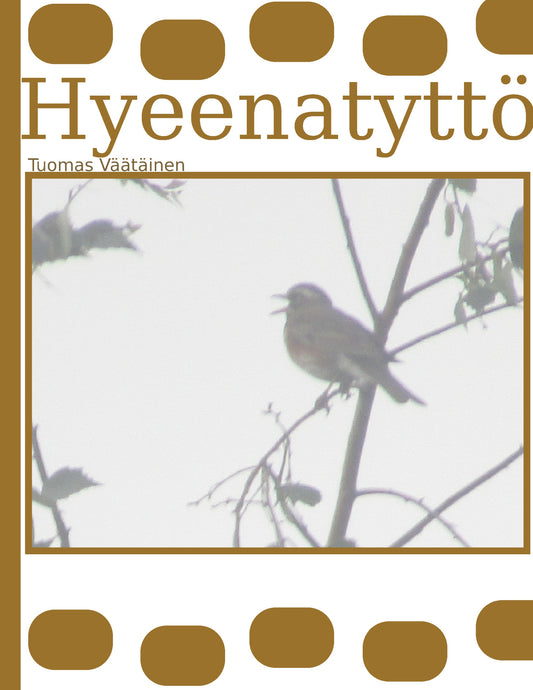 Hyeenatyttö – E-bok