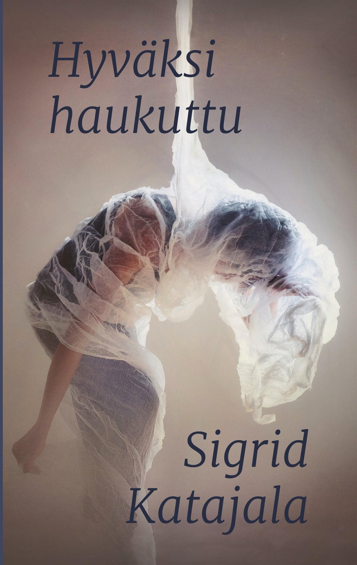 Hyväksi haukuttu – E-bok