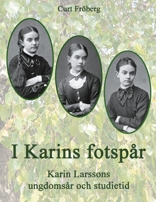 I Karins fotspår: Karin Larssons ungdomsår och studietid – E-bok