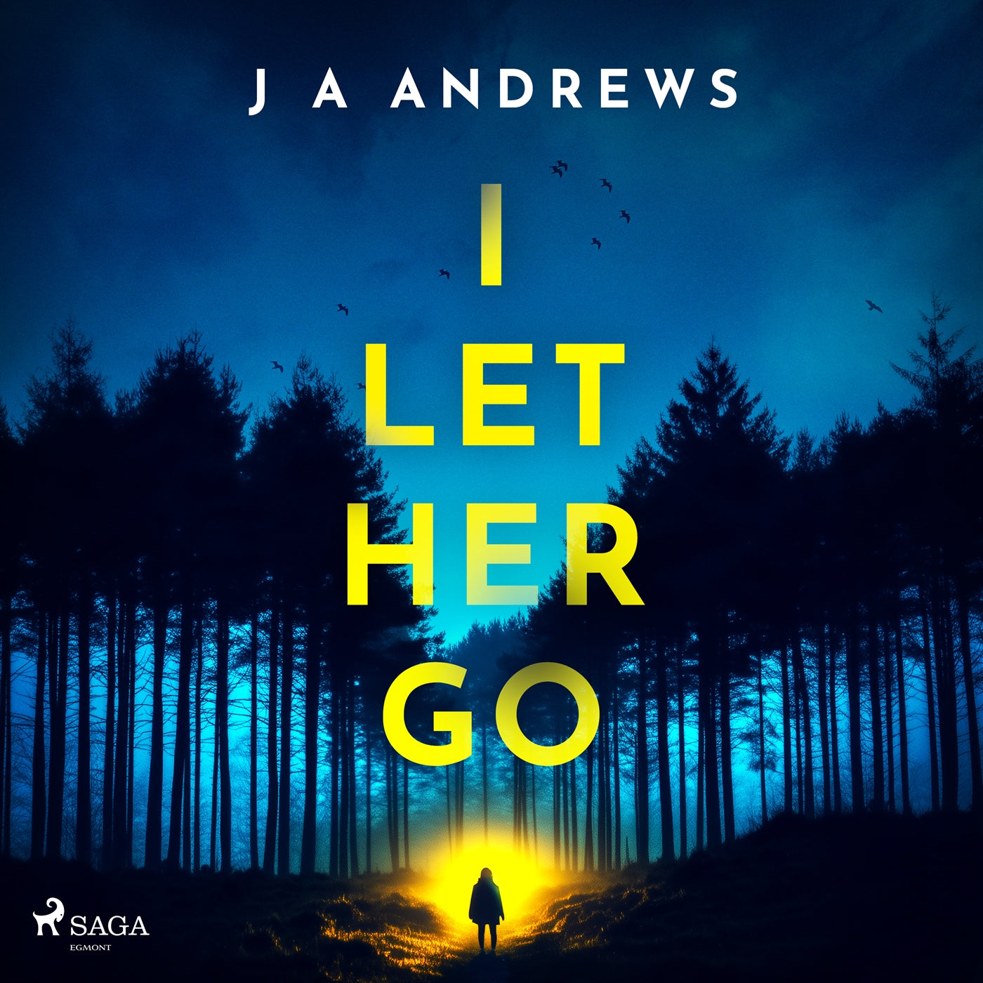 I Let Her Go – Ljudbok