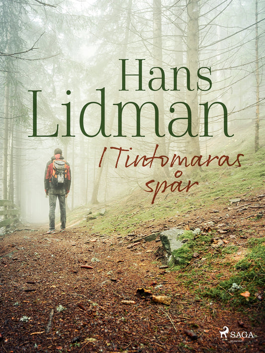 I Tintomaras spår – E-bok