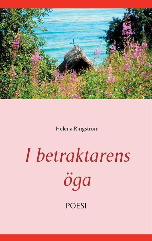 I betraktarens öga – E-bok