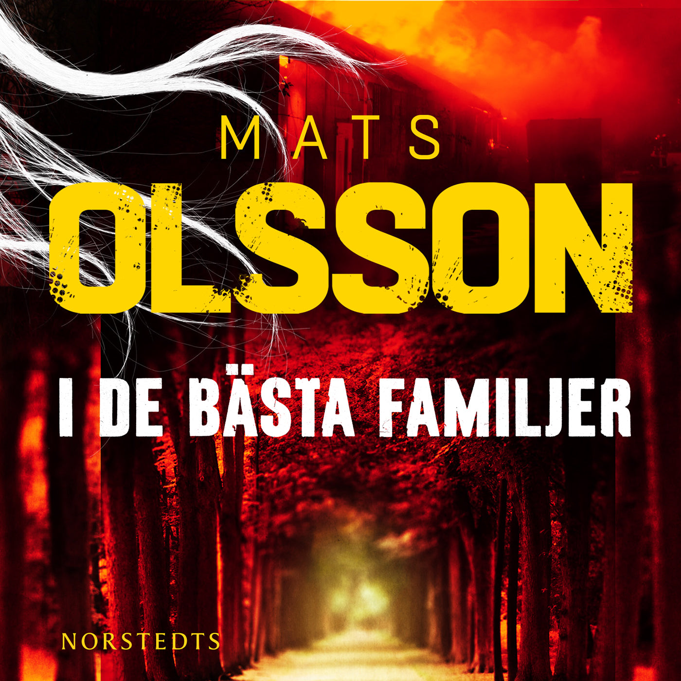 I de bästa familjer – Ljudbok