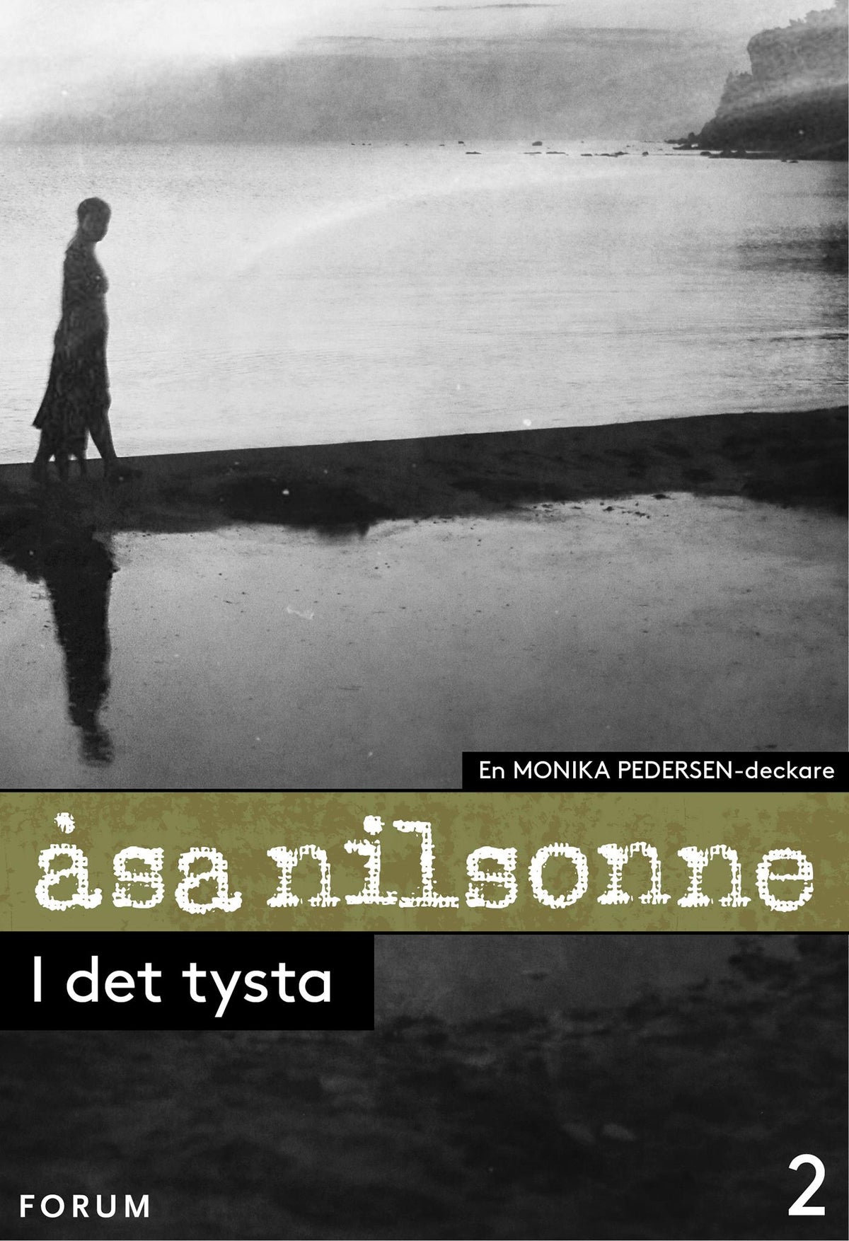 I det tysta – E-bok
