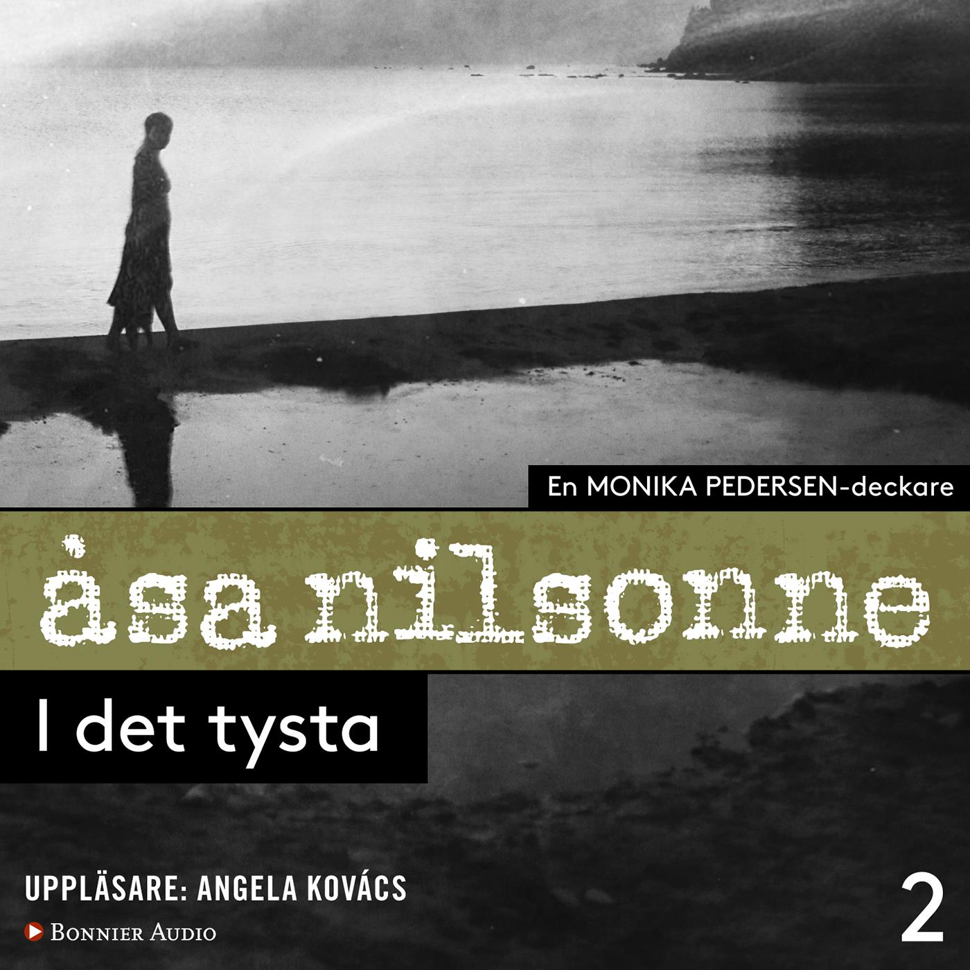 I det tysta – Ljudbok