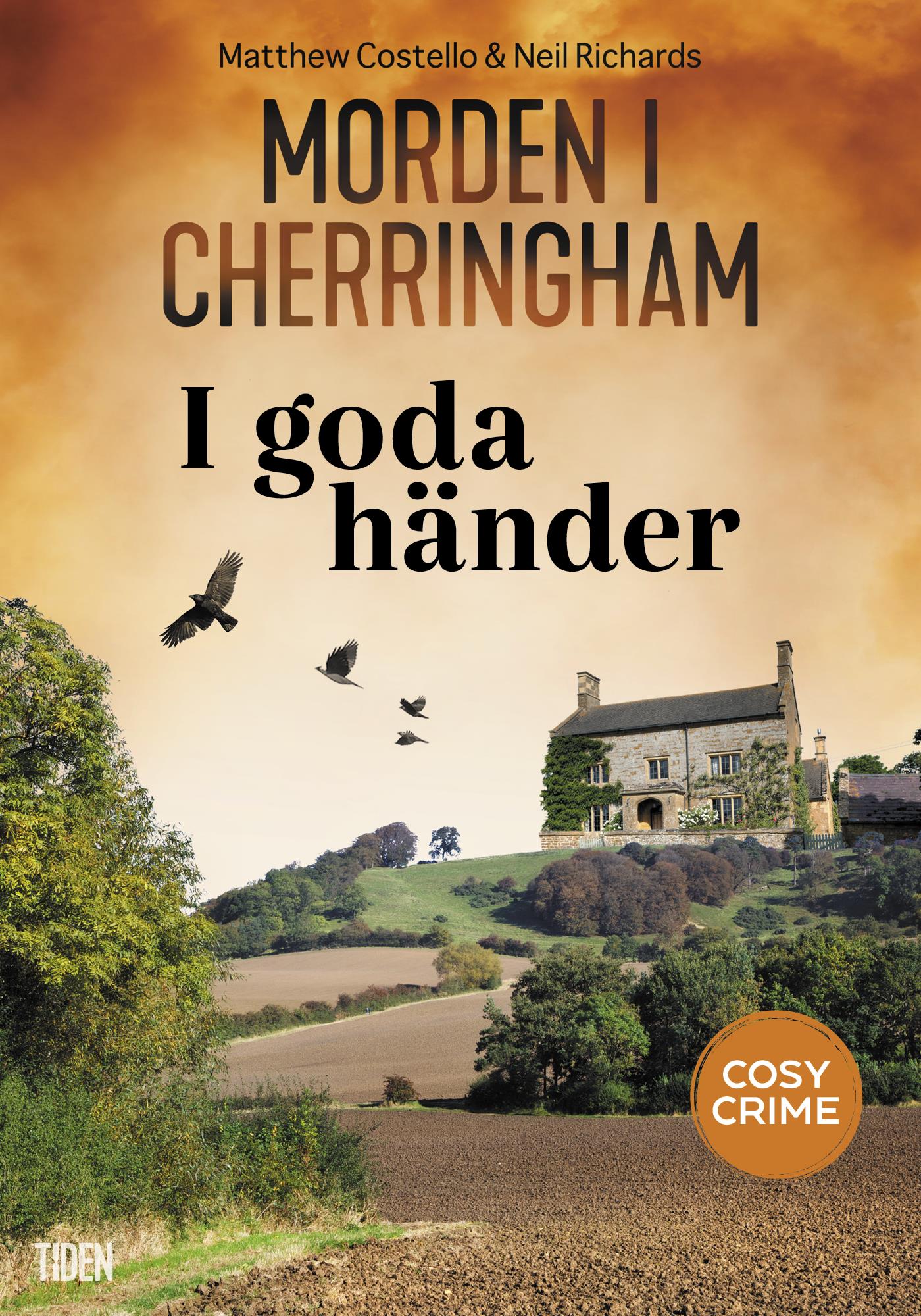 I goda händer – E-bok