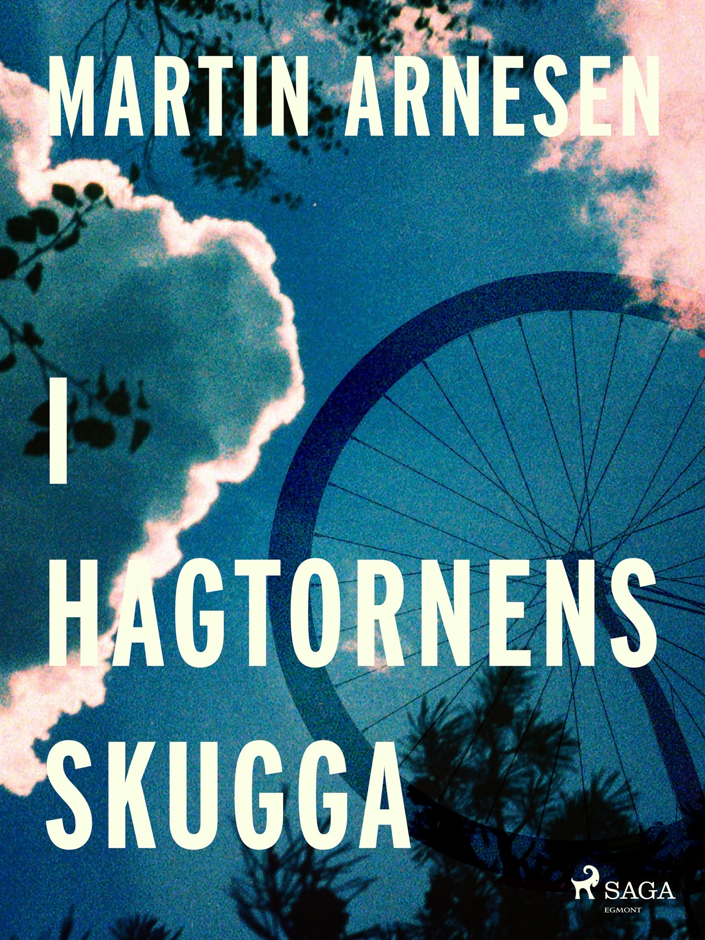 I hagtornens skugga – E-bok