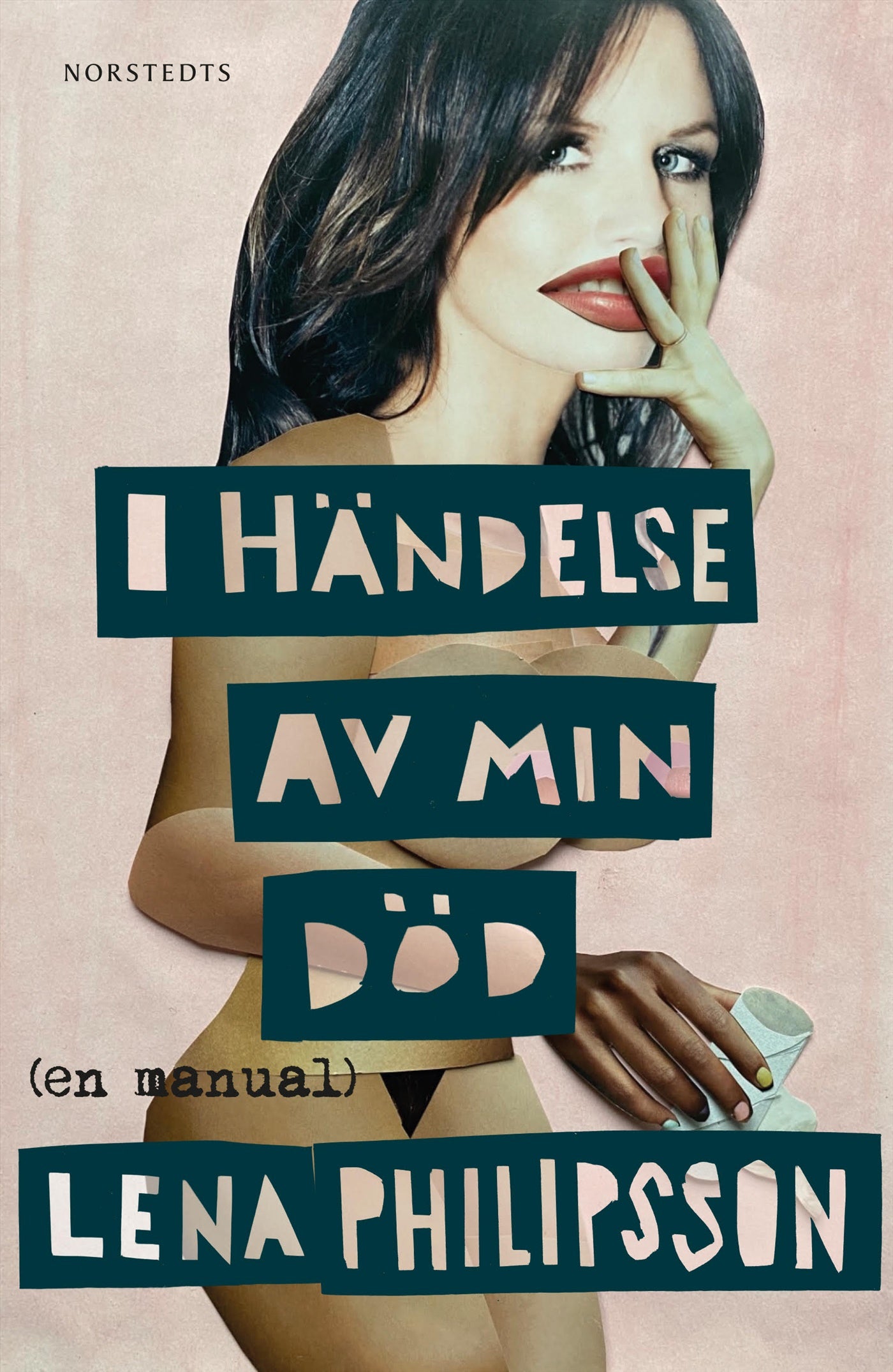 I händelse av min död : En manual – E-bok