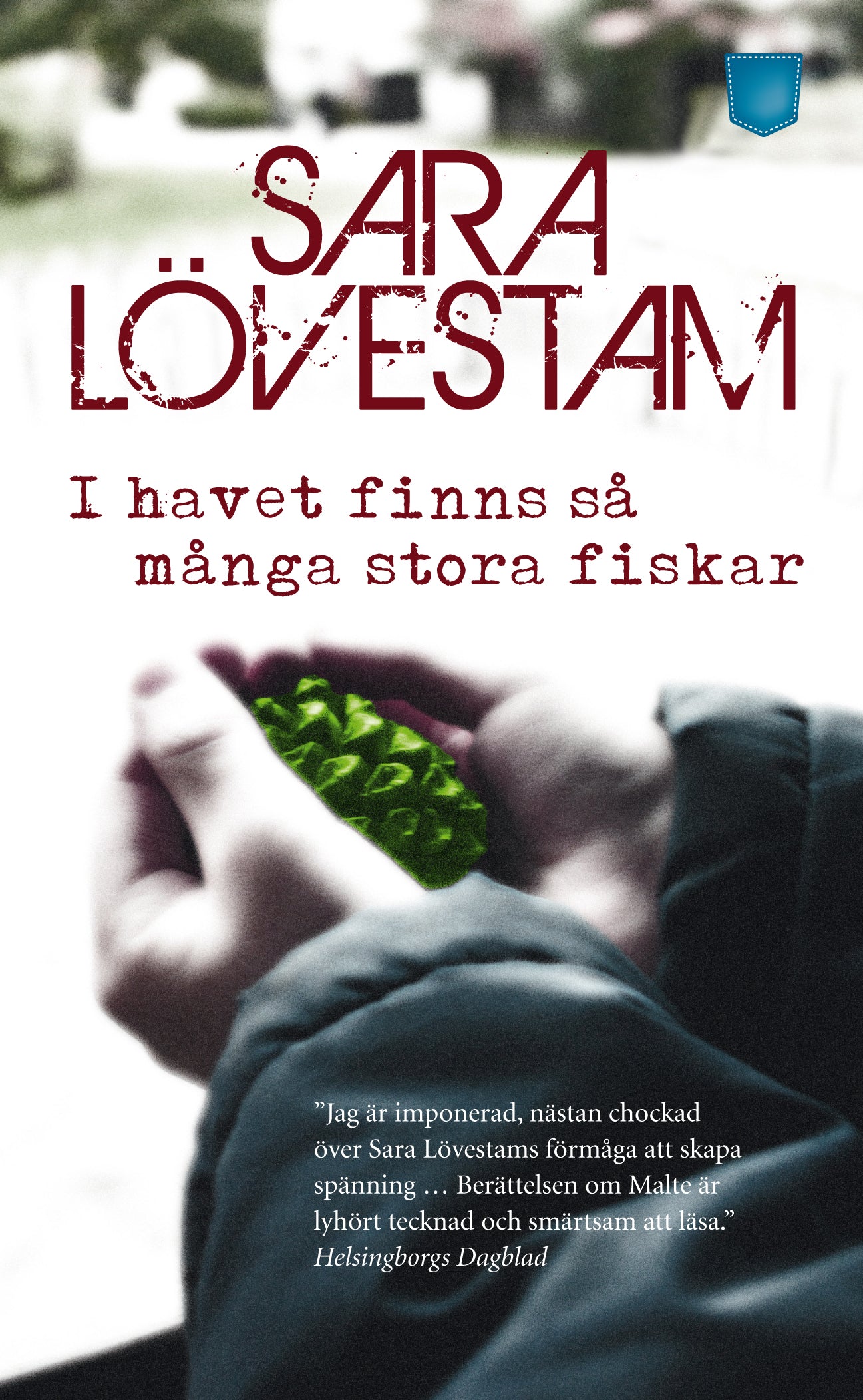 I havet finns så många stora fiskar – E-bok