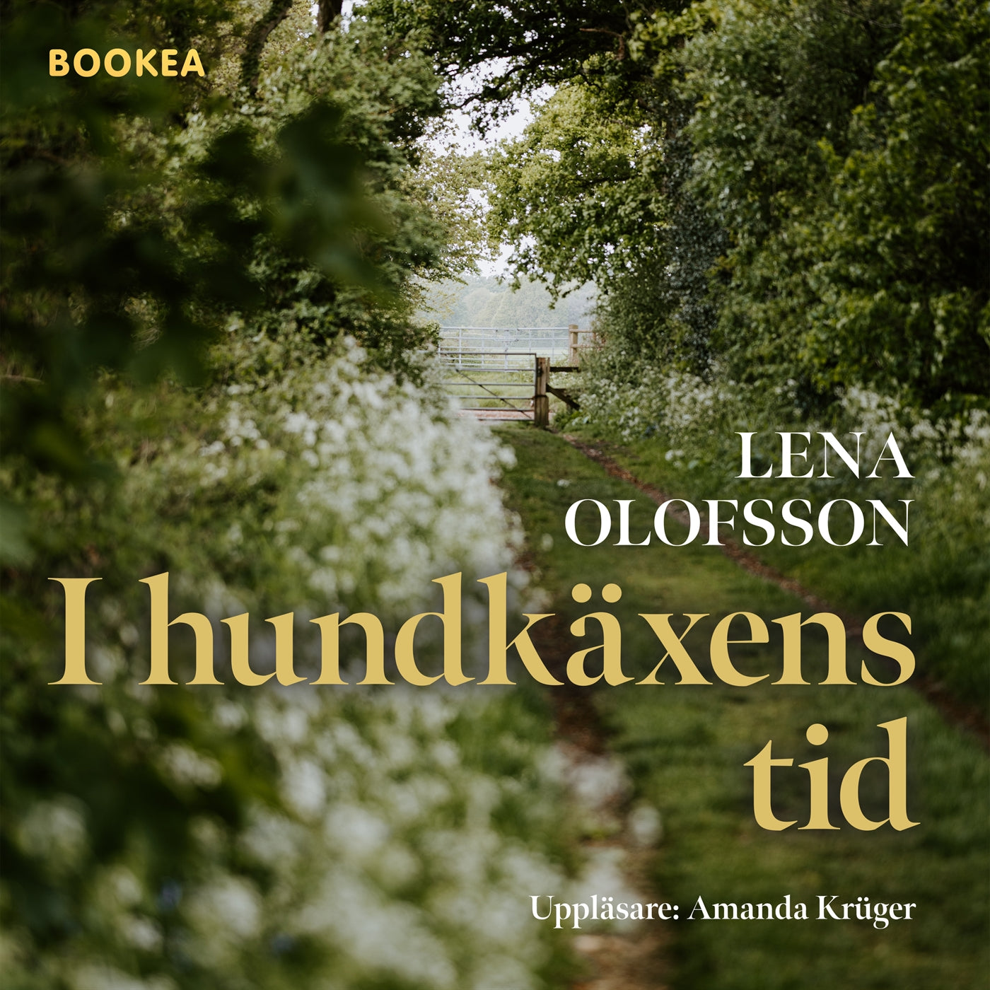 I hundkäxens tid – Ljudbok