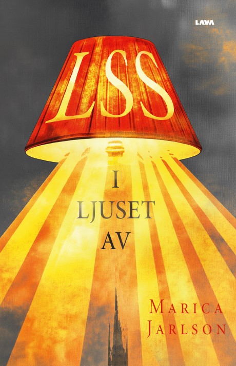 I ljuset av LSS – E-bok