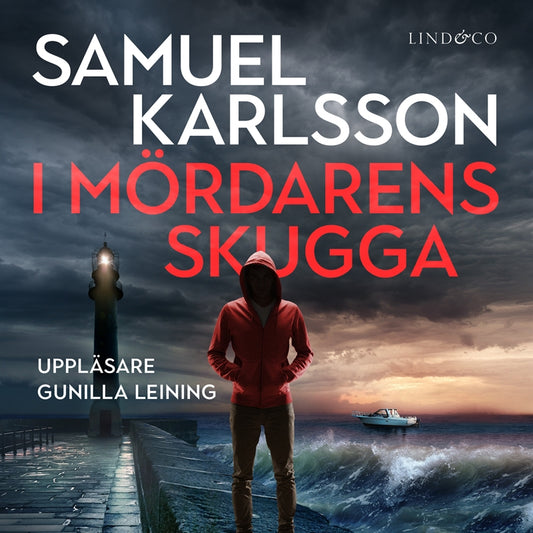 I mördarens skugga – Ljudbok
