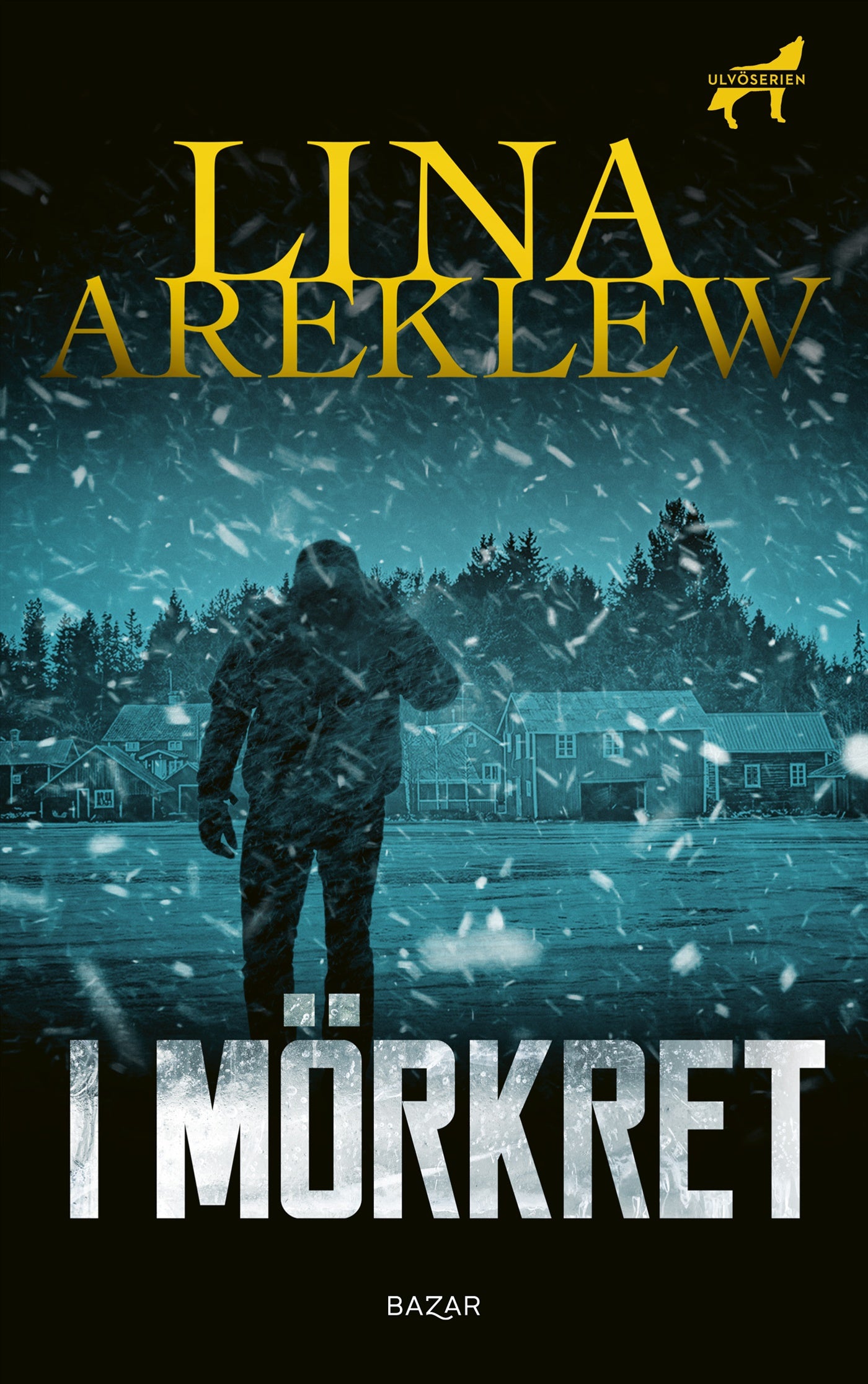 I mörkret – E-bok