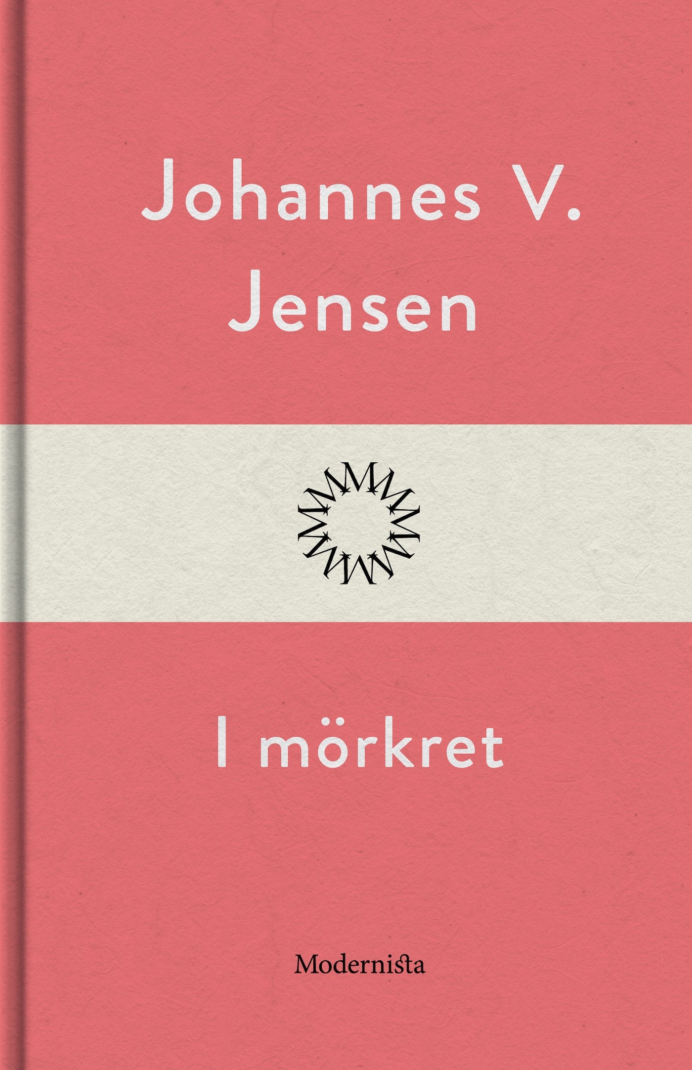 I mörkret – E-bok