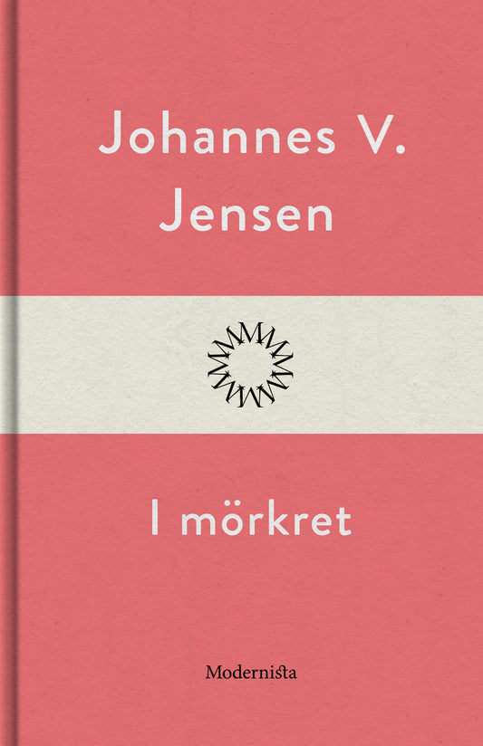 I mörkret – E-bok