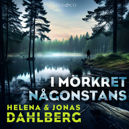 I mörkret någonstans – Ljudbok