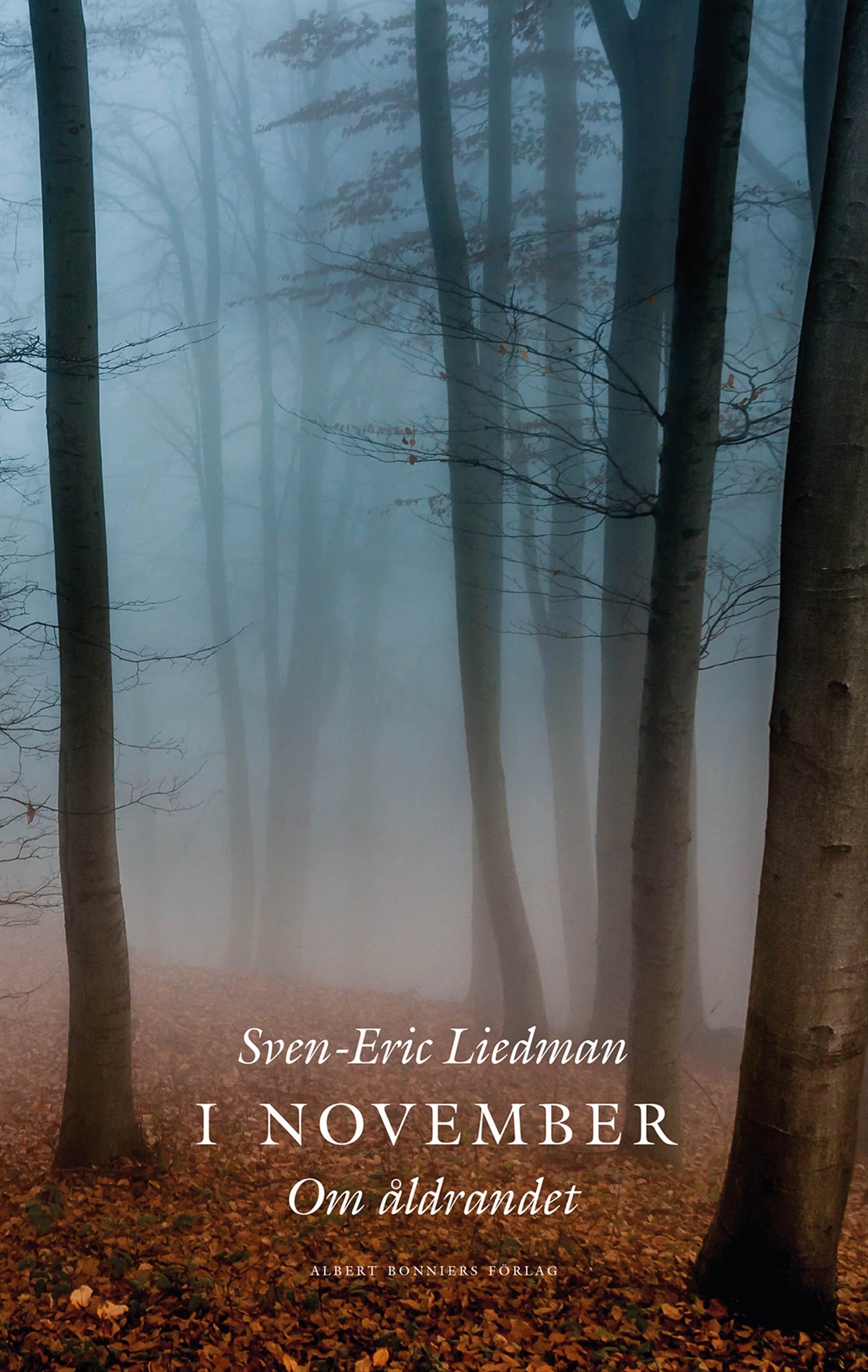 I november : om åldrandet – E-bok