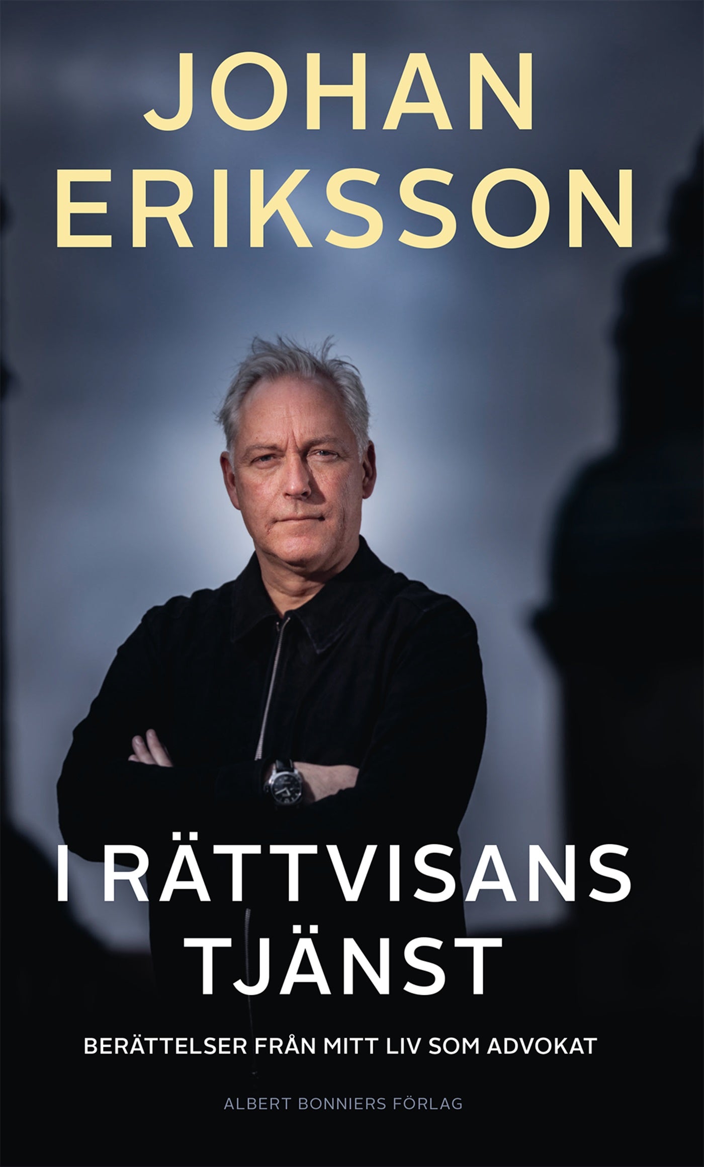 I rättvisans tjänst : berättelser från mitt liv som advokat – E-bok