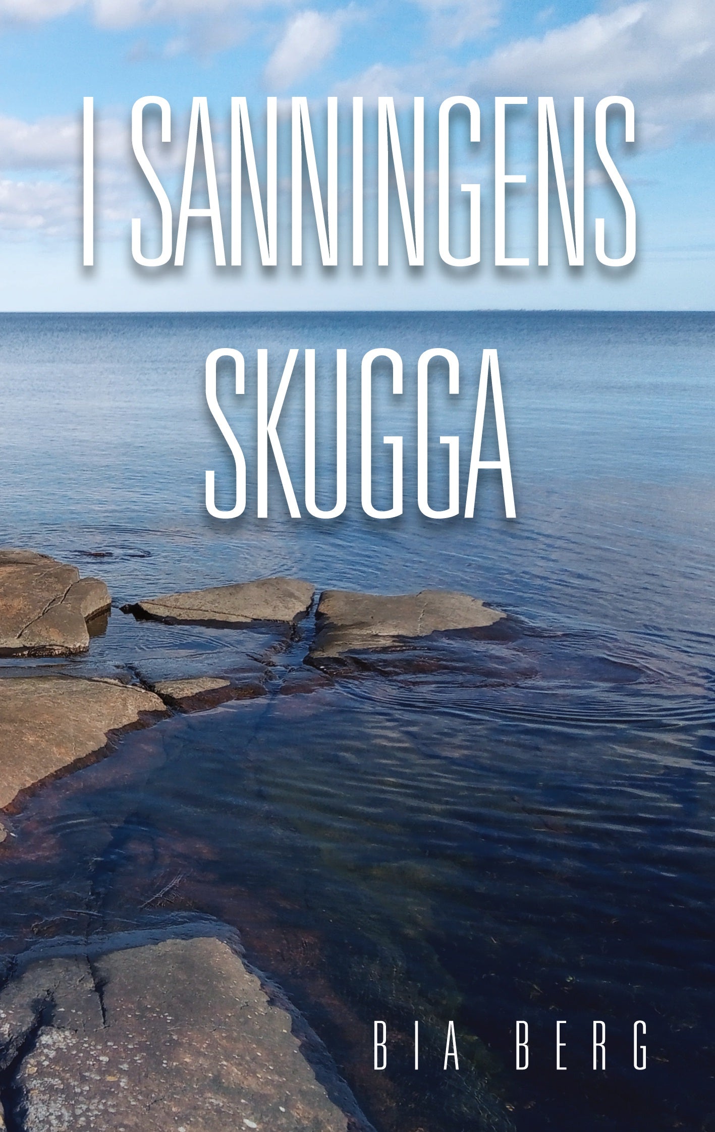 I sanningens skugga: En relationsroman – E-bok