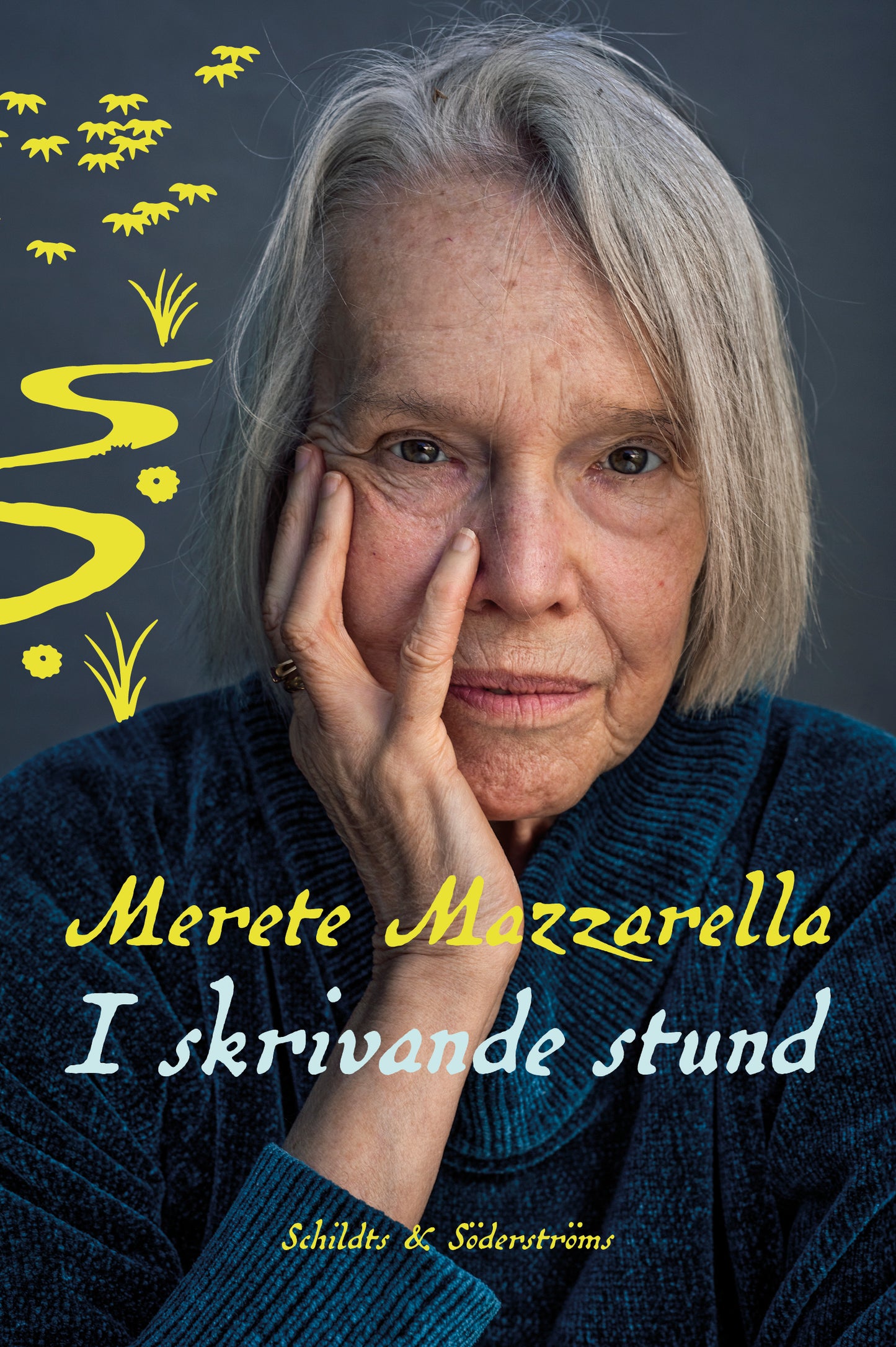 I skrivande stund – E-bok