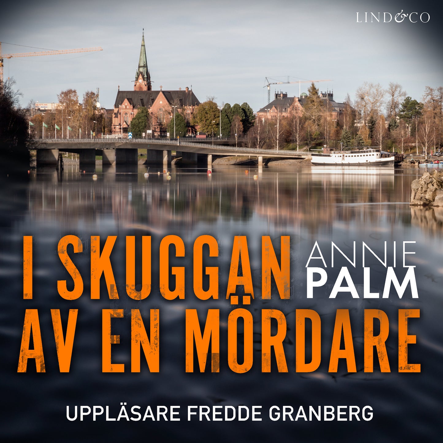I skuggan av en mördare – Ljudbok