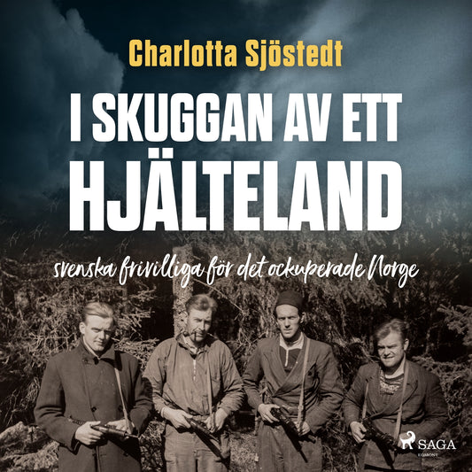 I skuggan av ett hjälteland – Ljudbok