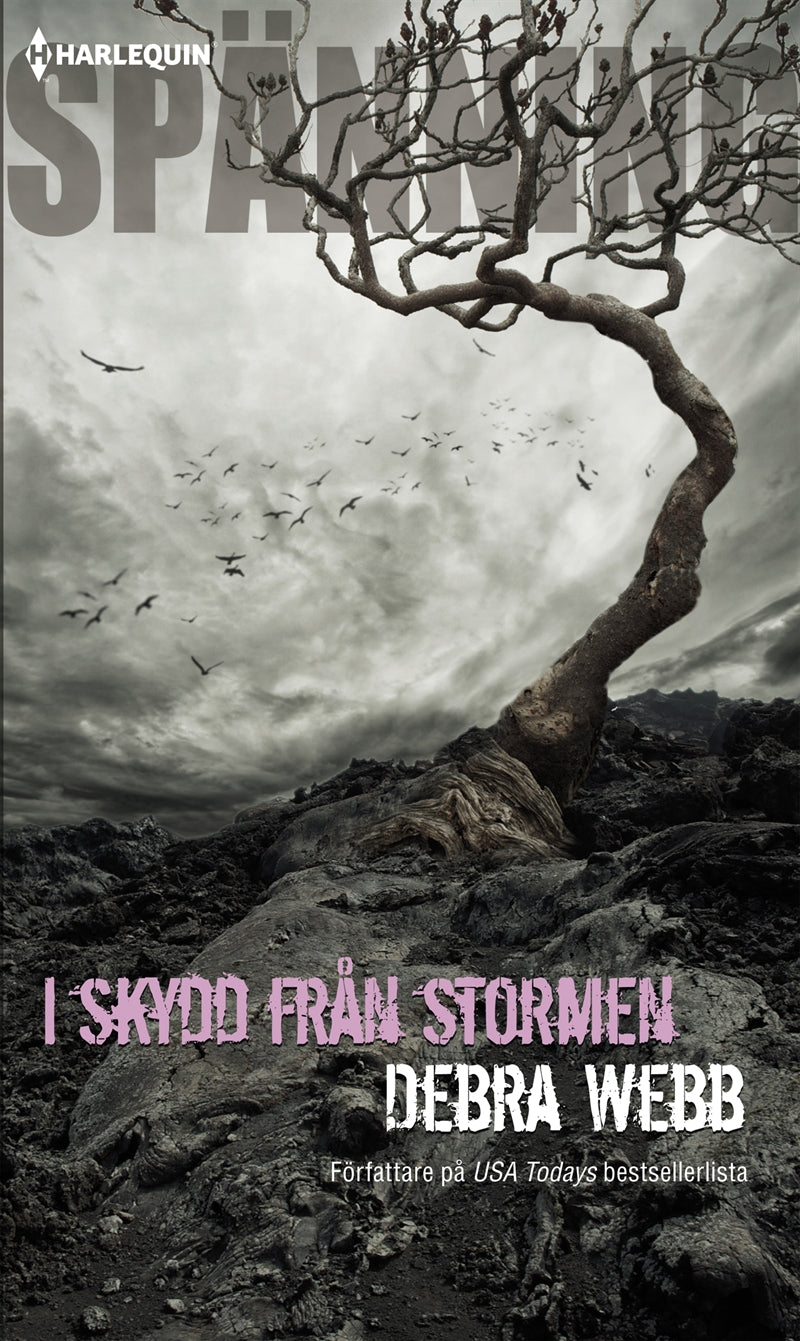 I skydd från stormen – E-bok