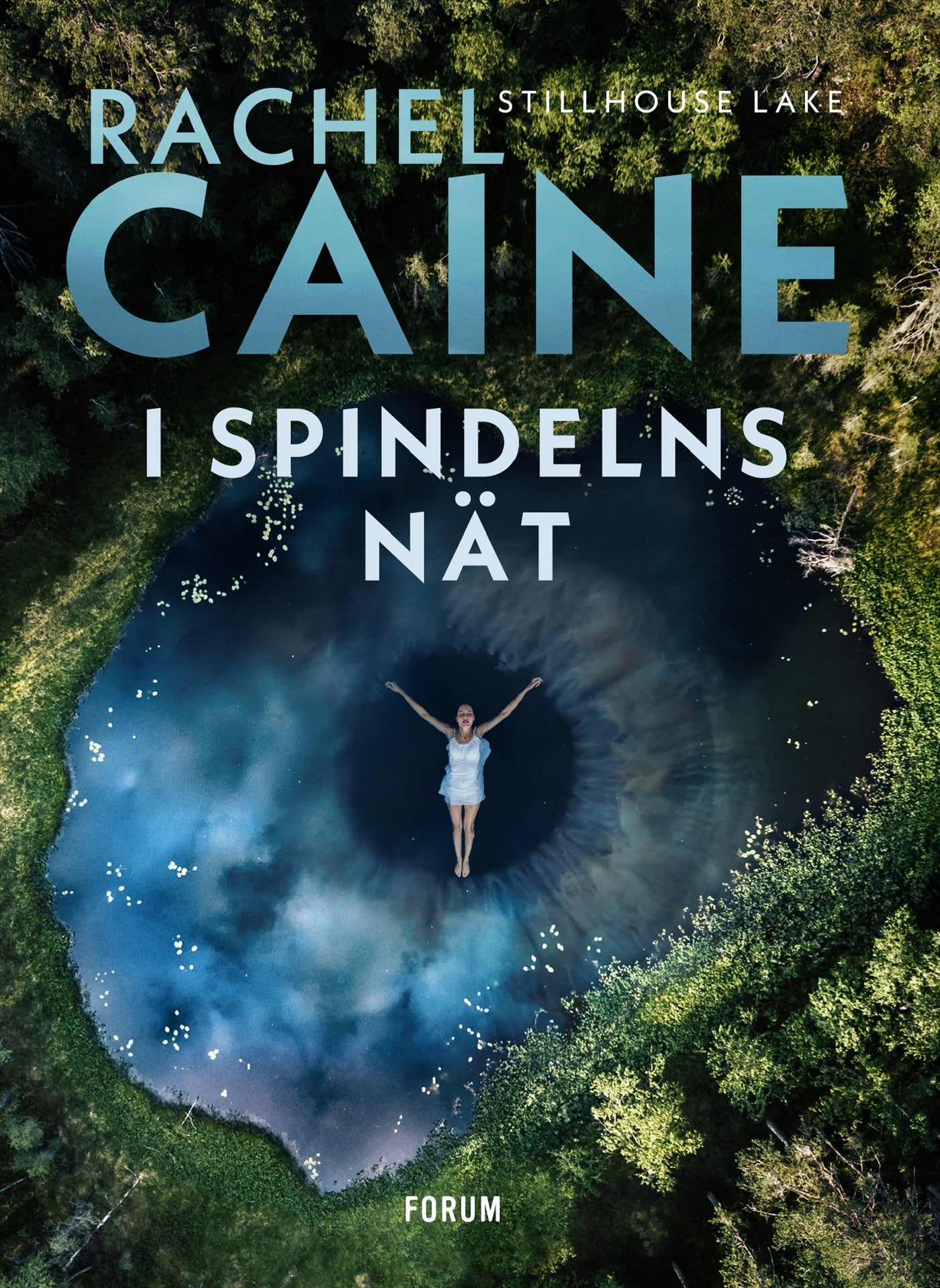 I spindelns nät – E-bok