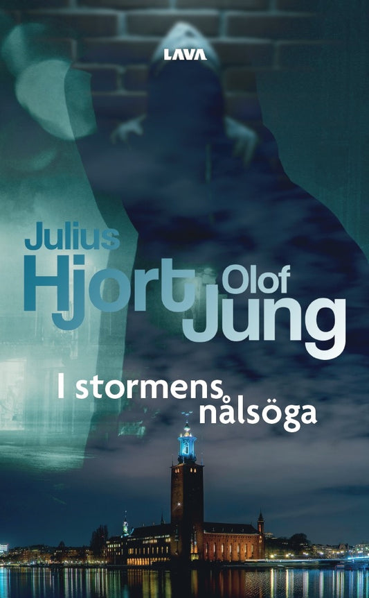 I stormens nålsöga – E-bok