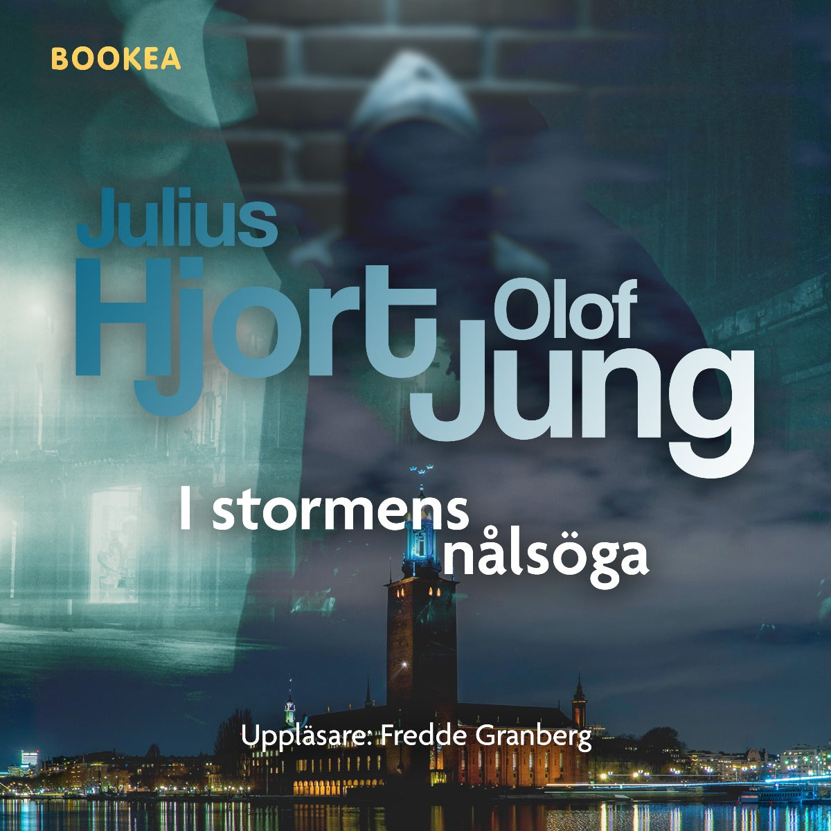 I stormens nålsöga – Ljudbok
