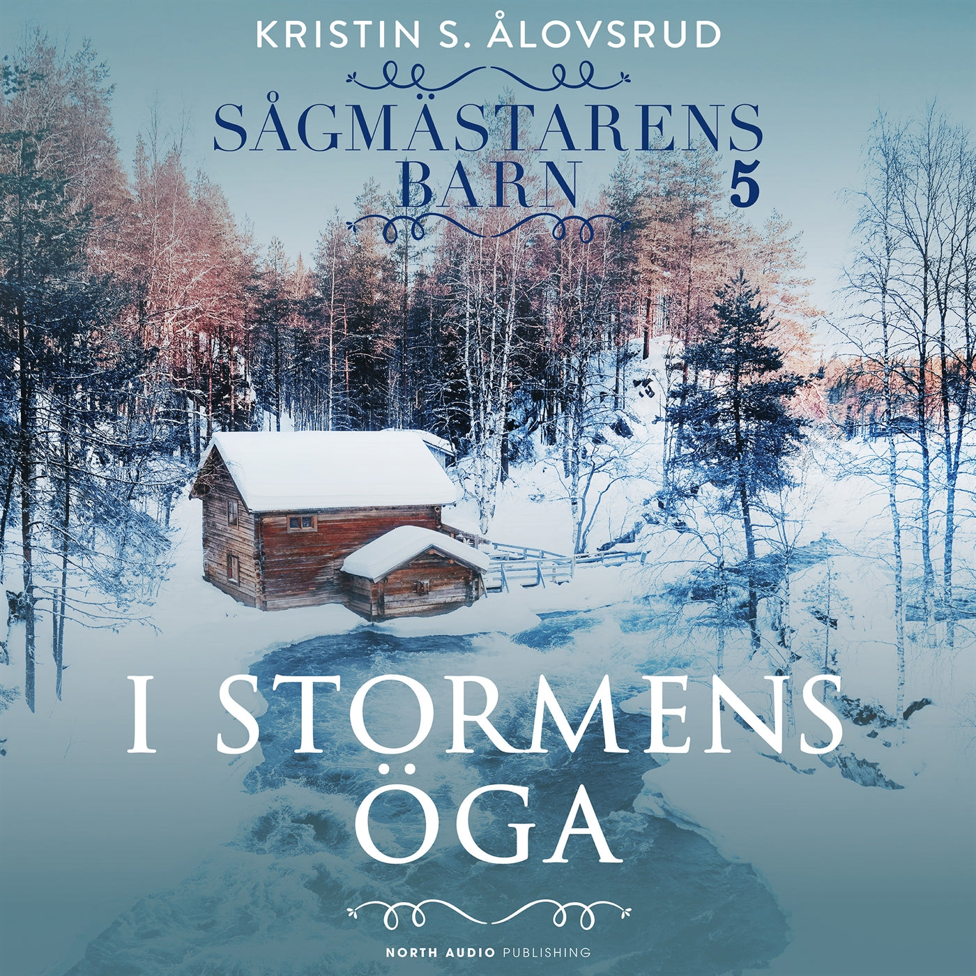 I stormens öga – Ljudbok