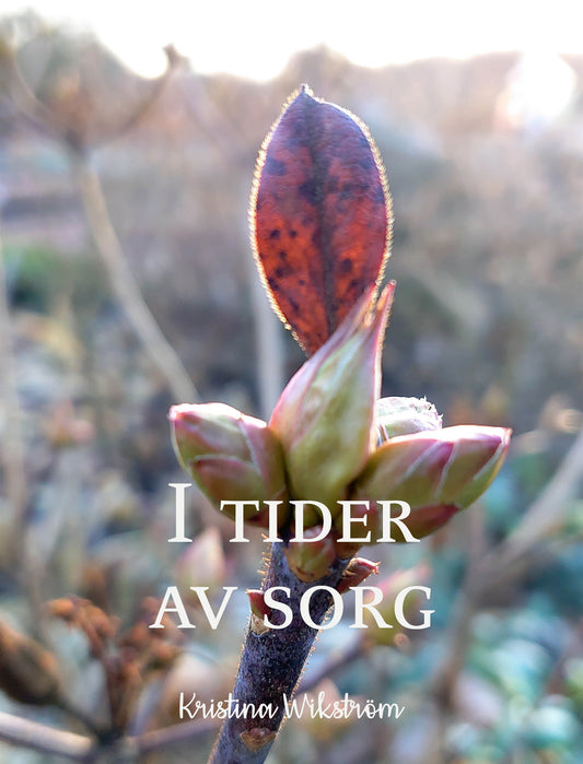 I tider av sorg – E-bok