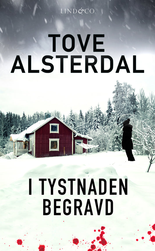 I tystnaden begravd – E-bok
