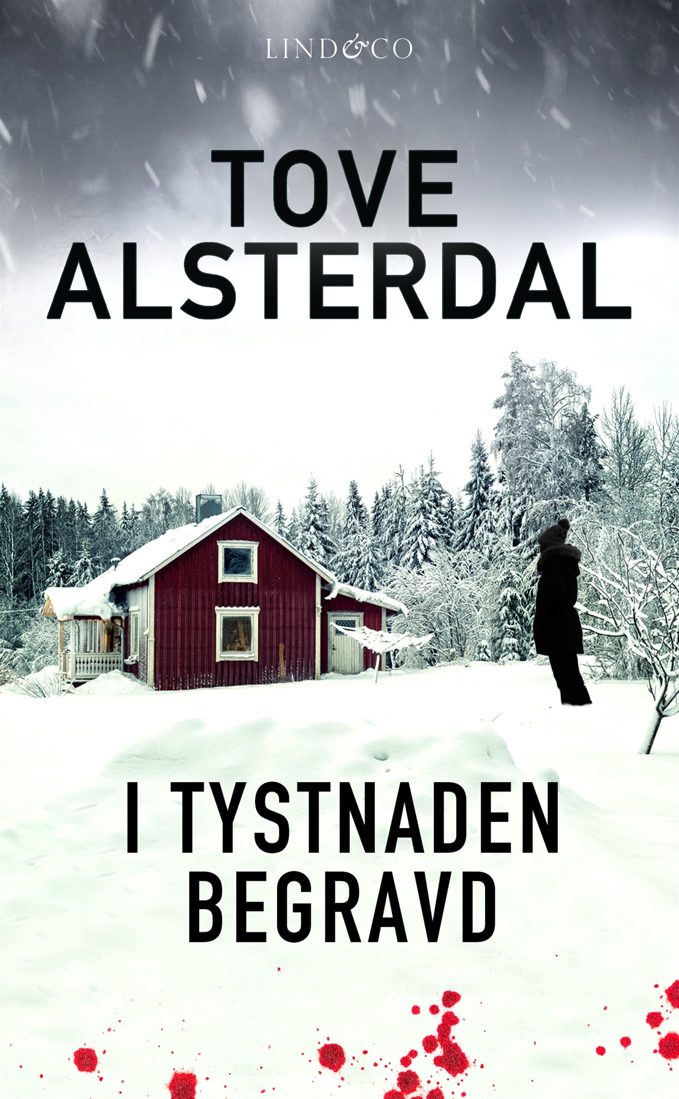I tystnaden begravd – E-bok