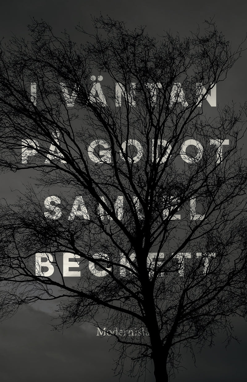 I väntan på Godot – E-bok