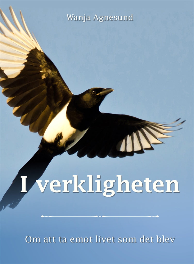 I verkligheten - Om att ta emot livet som det blev – E-bok