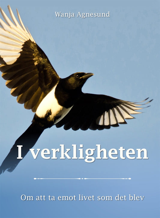 I verkligheten - Om att ta emot livet som det blev – E-bok