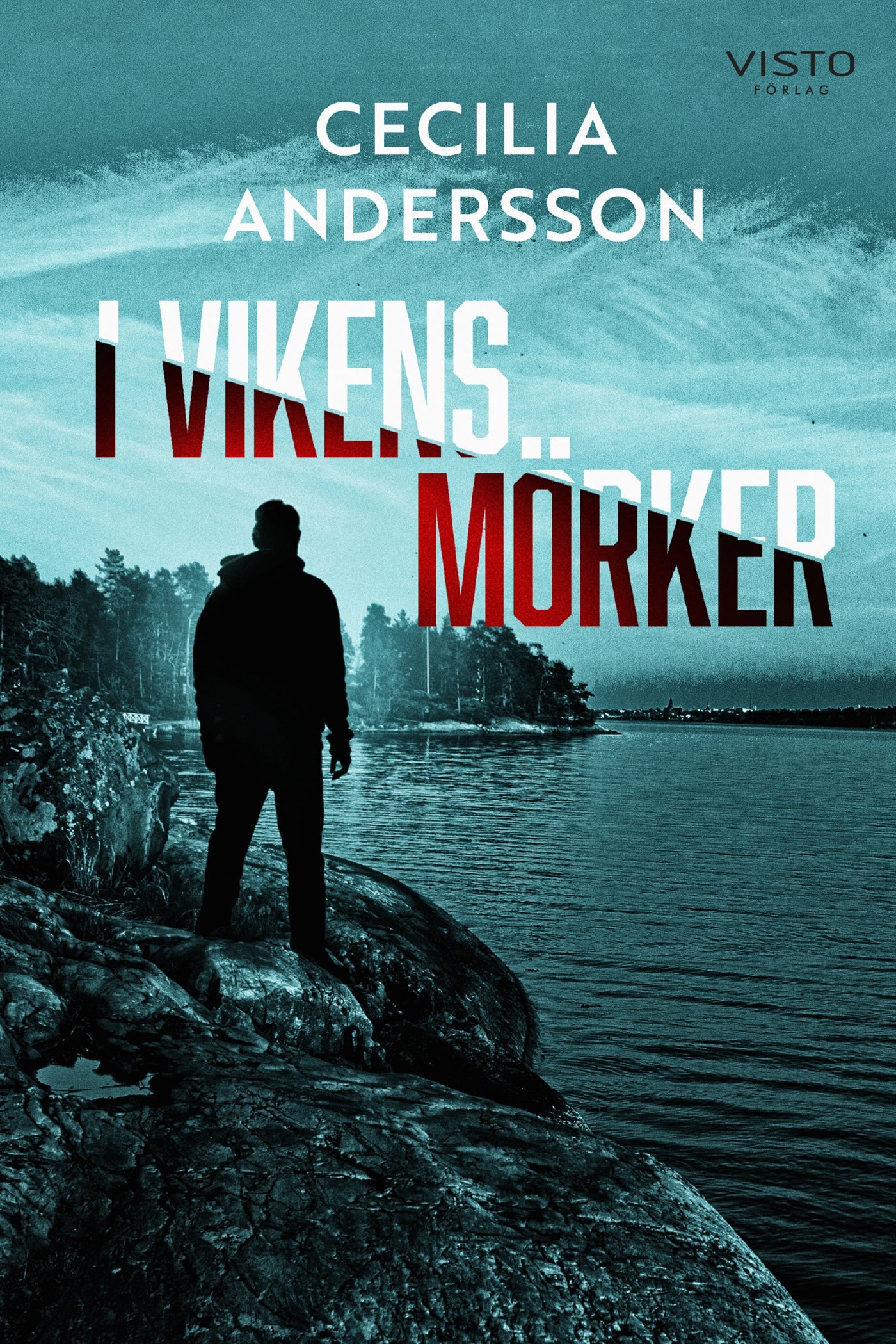 I vikens mörker – E-bok