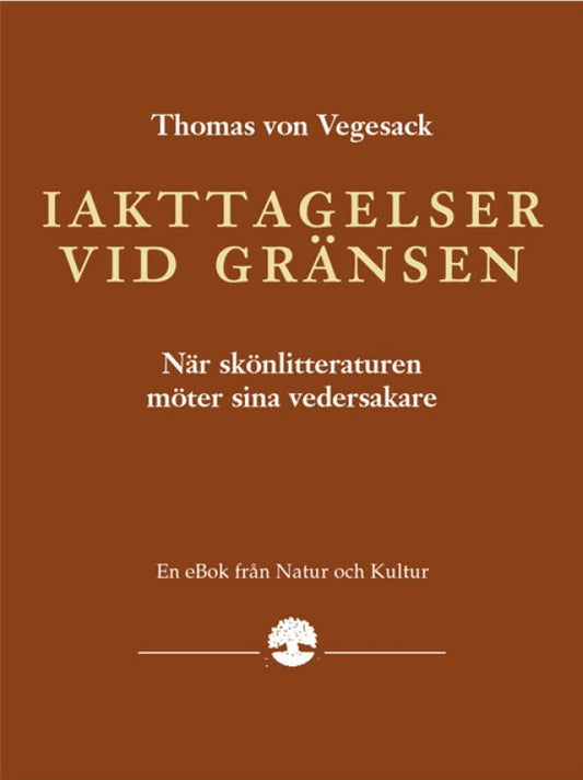Iakttagelser vid gränsen - Digital - Laddas ner