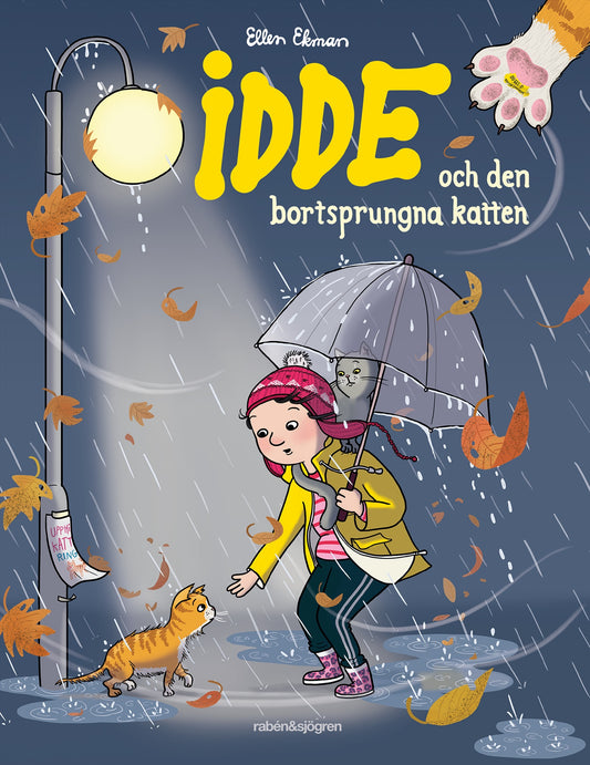 Idde och den bortsprungna katten – E-bok