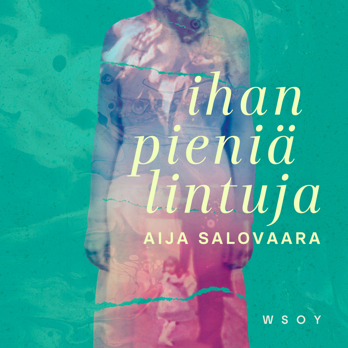 Ihan pieniä lintuja  – Ljudbok