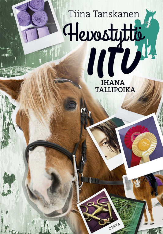 Ihana tallipoika – E-bok