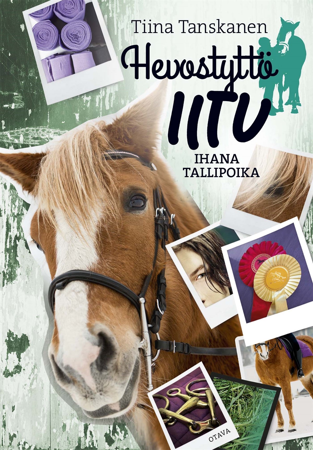 Ihana tallipoika – E-bok