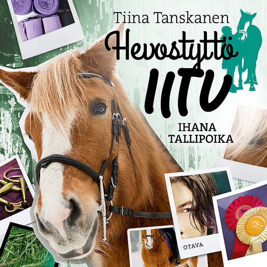 Ihana tallipoika – Ljudbok