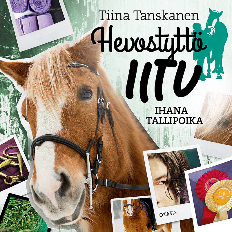 Ihana tallipoika – Ljudbok